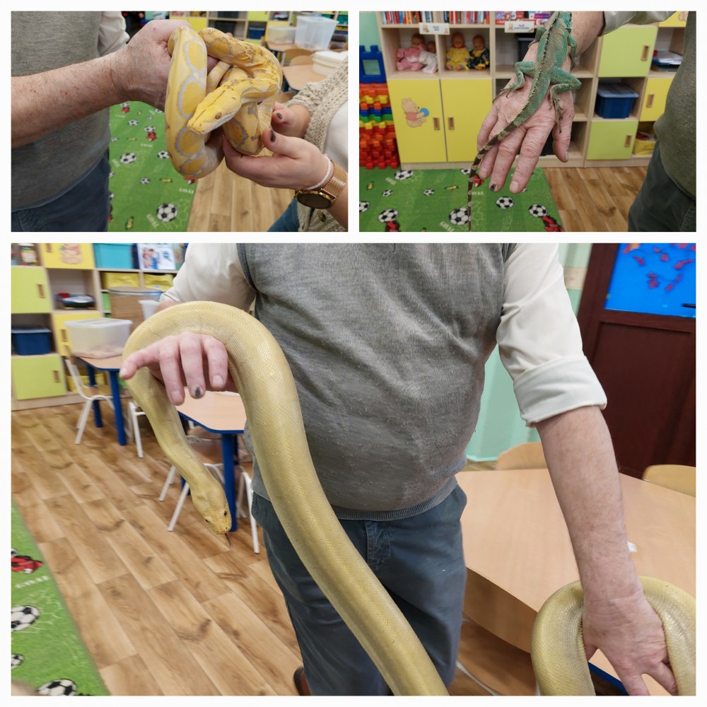 Pokaz gadów w naszym przedszkolu 